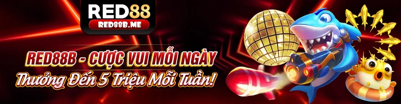 Chính sách Cookie p3bet code