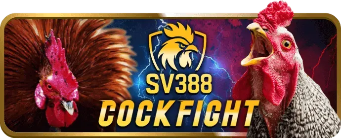 Mẹo tối ưu hóa lợi nhuận P3BET Code
